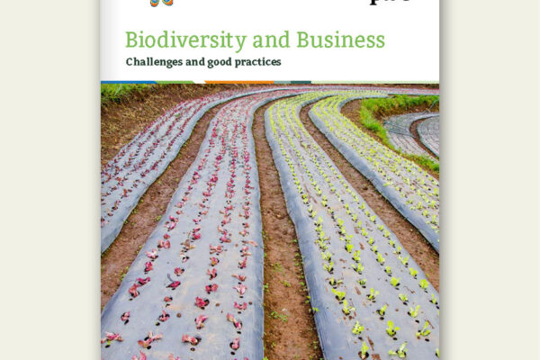 VBDO Biodiversity and Business voorkant rapport